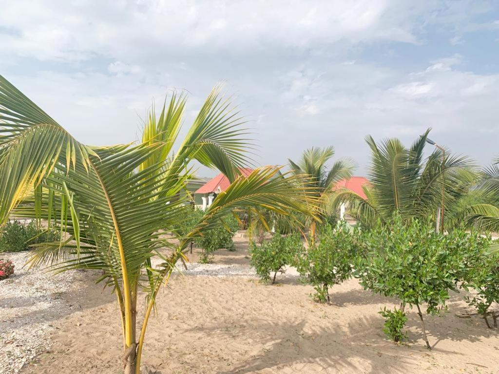 Bosofet Beach And Creek Lodge Sanyang Exterior foto